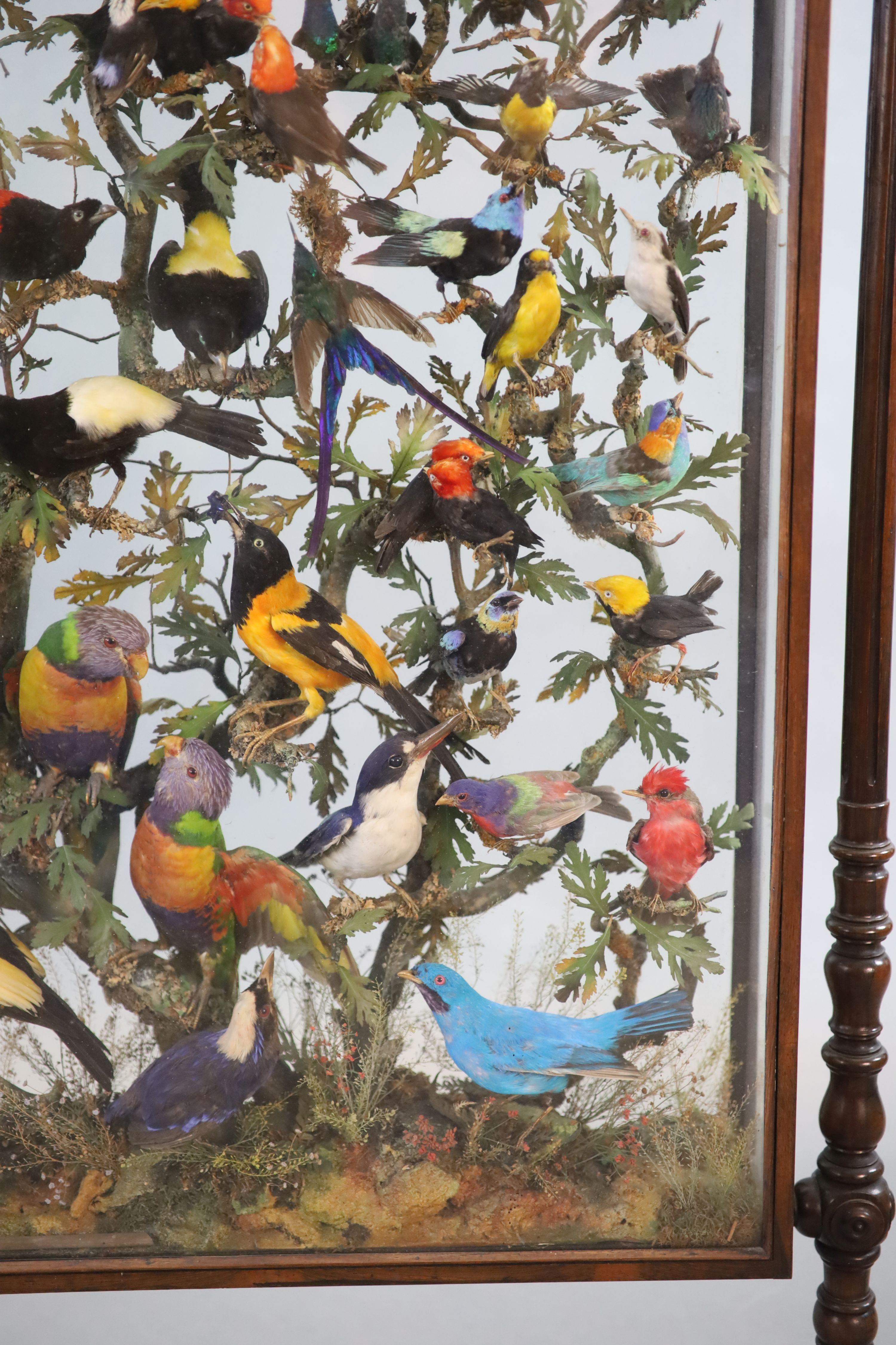 A large and impressive arboreal taxidermy arrangement, 19th century 72cm wide, 14cm deep, 137cm high (maximum)